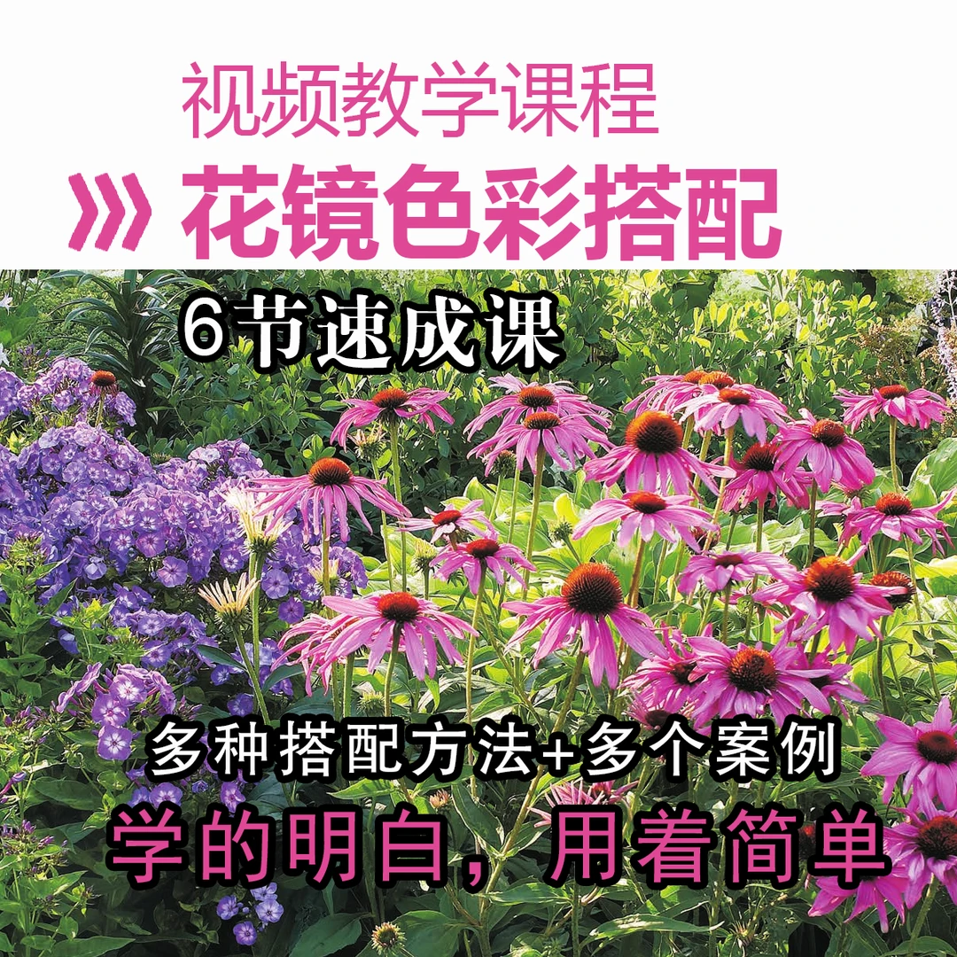 花镜色彩搭配速成课