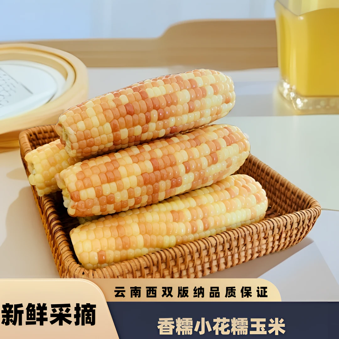 西双版纳花糯玉米代餐新鲜香糯颗粒饱满真空包独立装玉米蒸煮零食