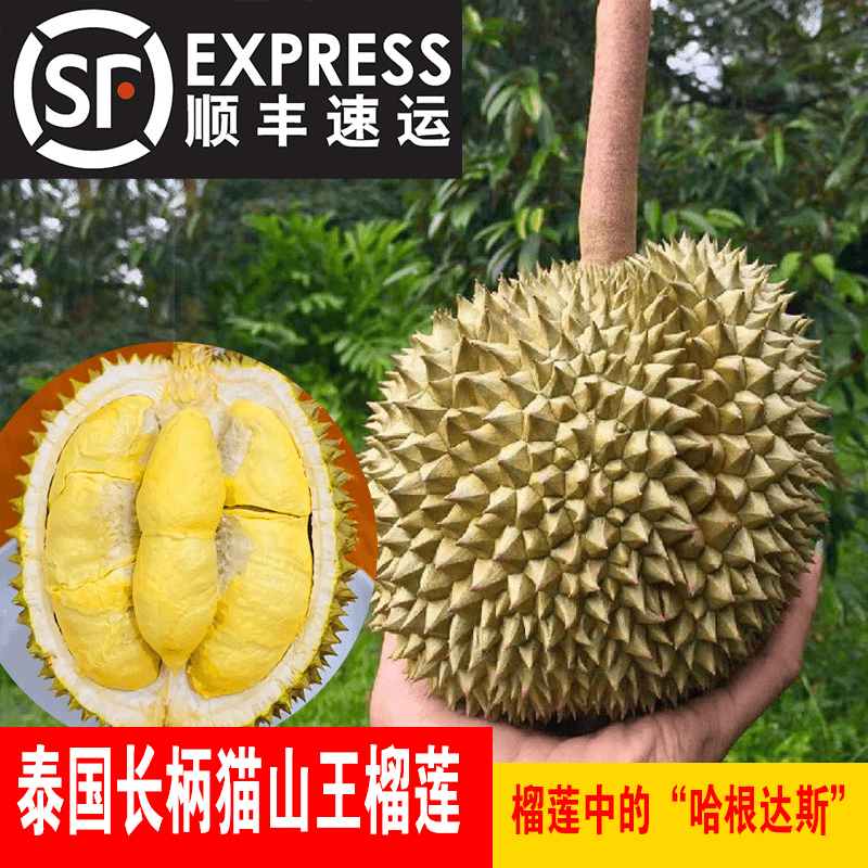 【皇室贡品】泰国鲜果长柄干尧猫山王水果应季一整个带壳浪漫七夕礼