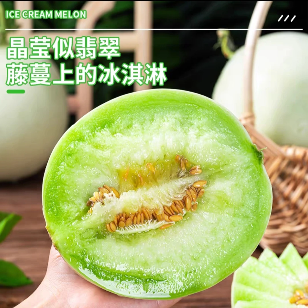 【送勺子】山东玉菇甜瓜冰激凌口感香甜蜜瓜带箱5斤应季时令水果
