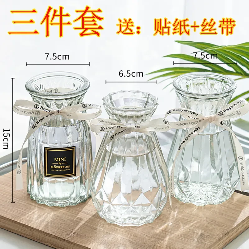 小众个性简约玻璃花瓶水培鲜花专用玻璃花瓶