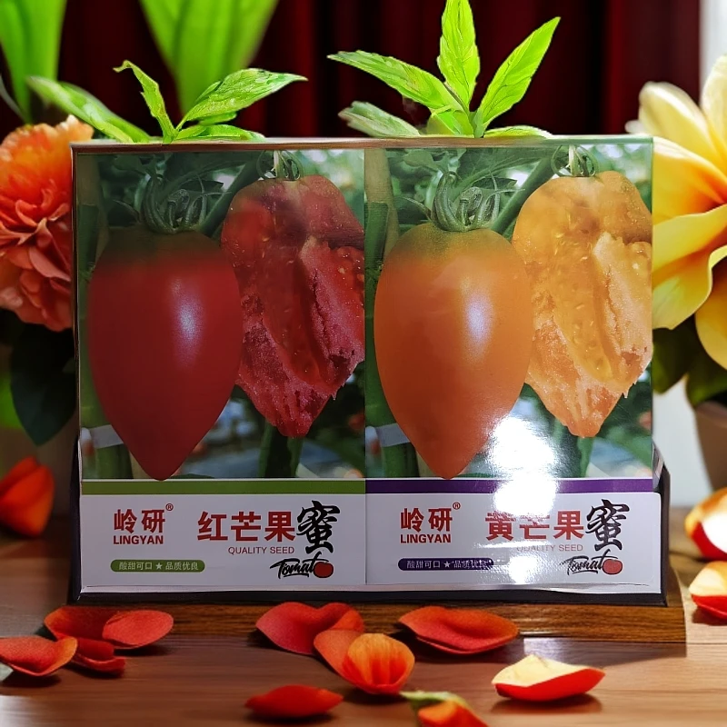 黄芒果+红芒果柿子