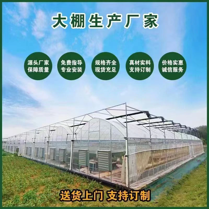 连体大棚玻璃大棚电动外遮阳育苗花卉种植热镀锌骨架玻璃智能大棚