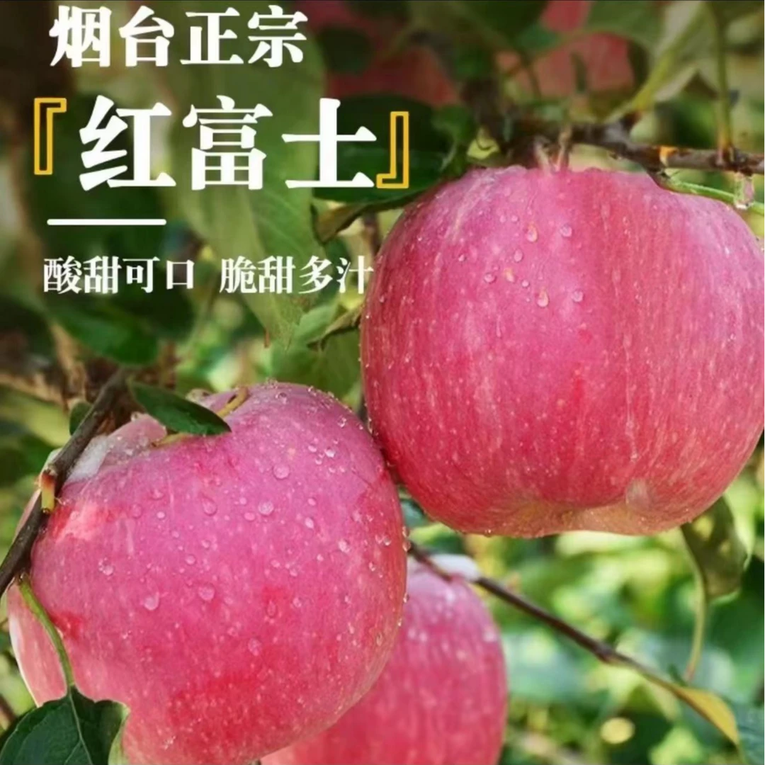 【坏果包赔】山东烟台红富士苹果新鲜水果4.5-5斤产地直发脆爽多汁