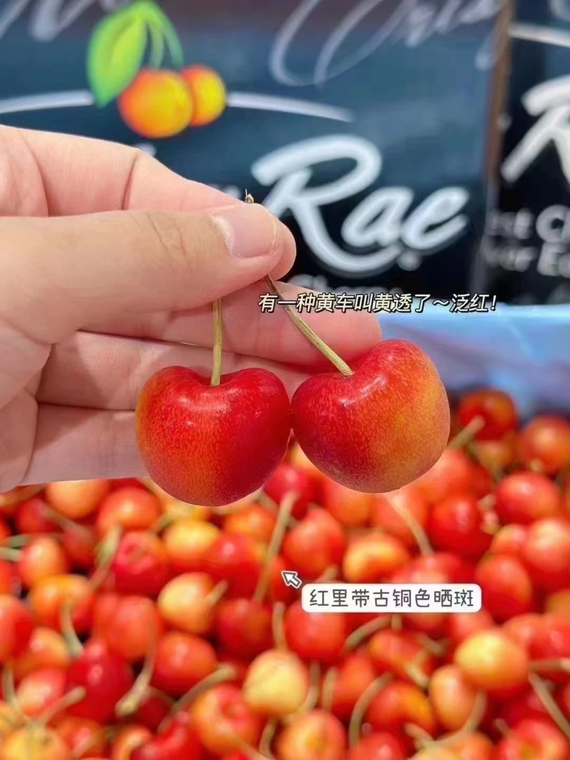 进口黄车250g