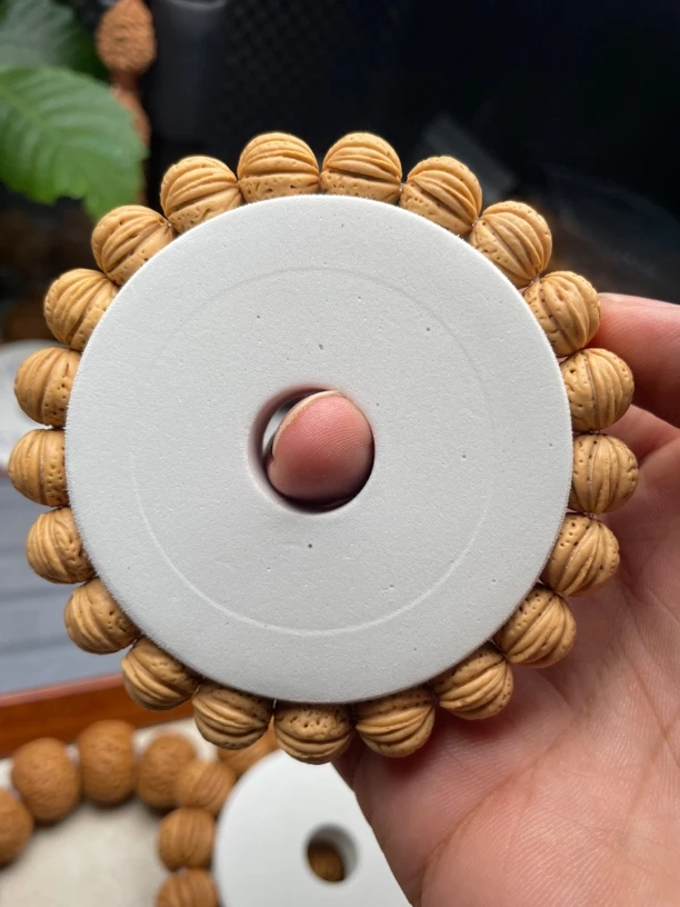 【繁星】野生同树桃核