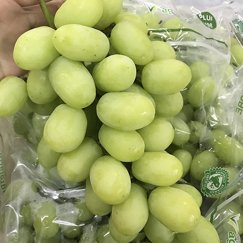 【好吃】进口秋天酥无籽青提 一串约2斤 当季提子口感天花板