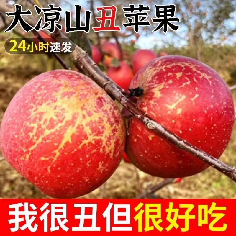 四川大凉山盐源丑苹果脆甜多汁新鲜现摘净重5斤