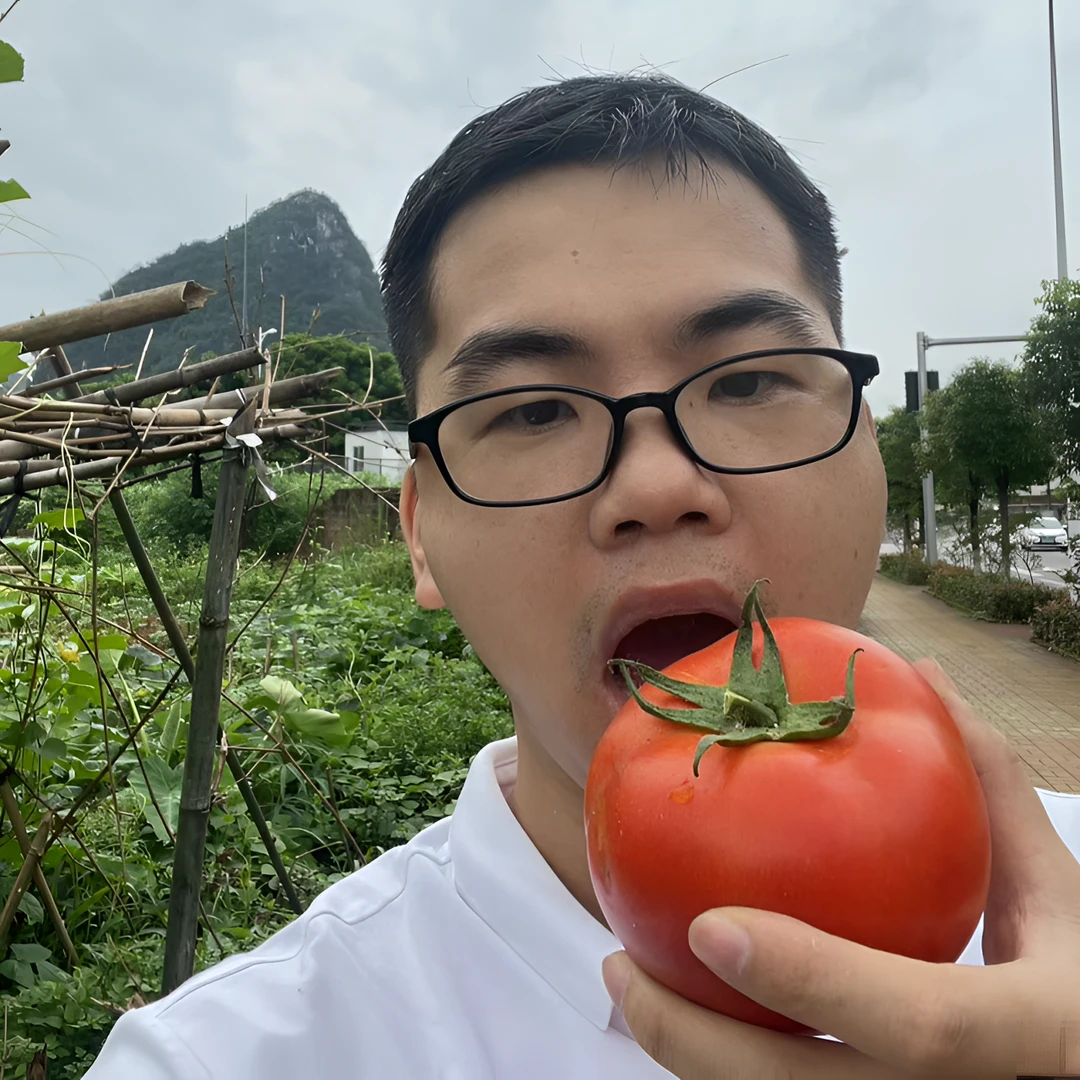 上午摘下午发，水果西红柿，可生吃。清甜可口，小时的味道。