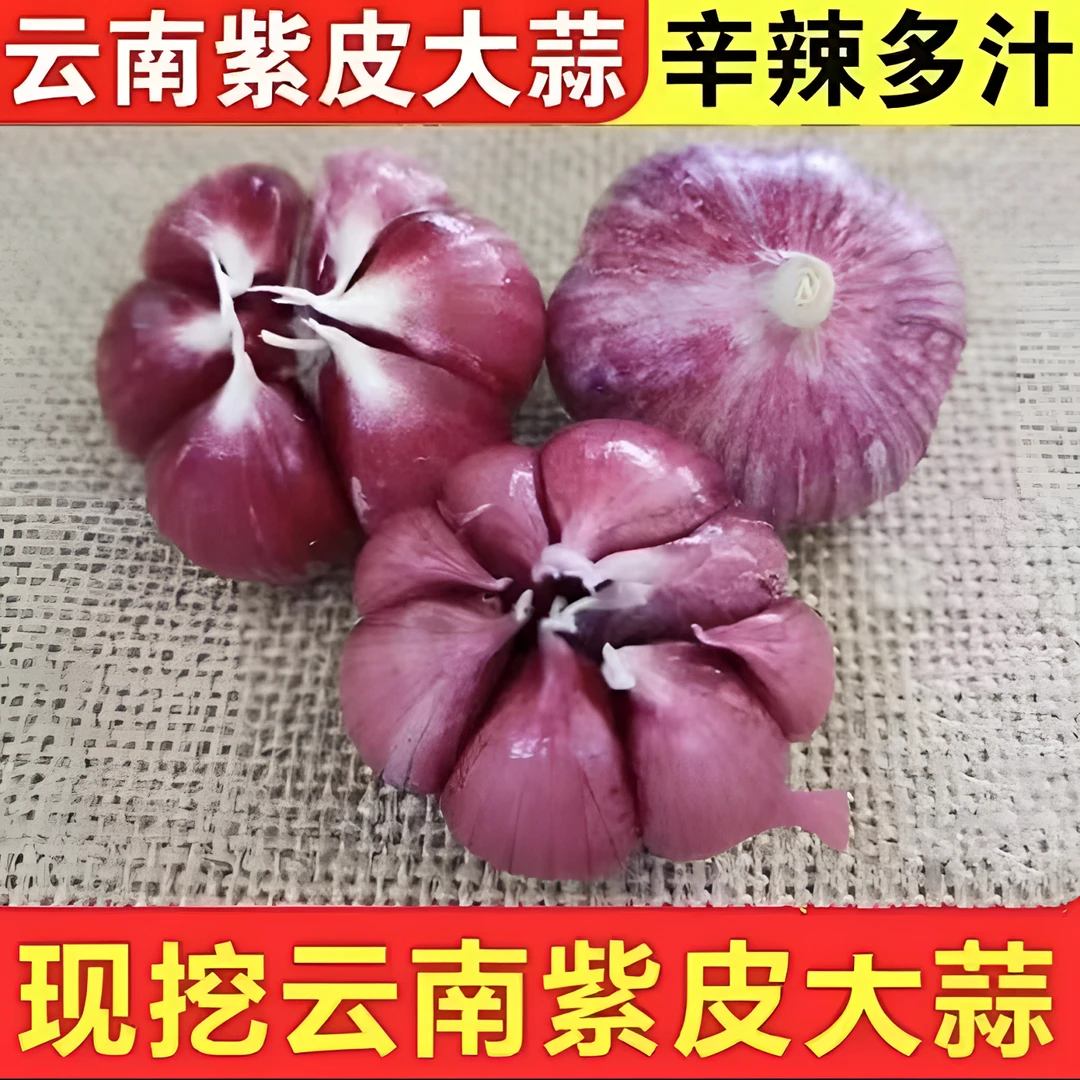 【云南紫皮蒜买3斤送2斤 】8鲜蒜泡蒜老品种香蒜鲜蒜大蒜1/3/5/9斤