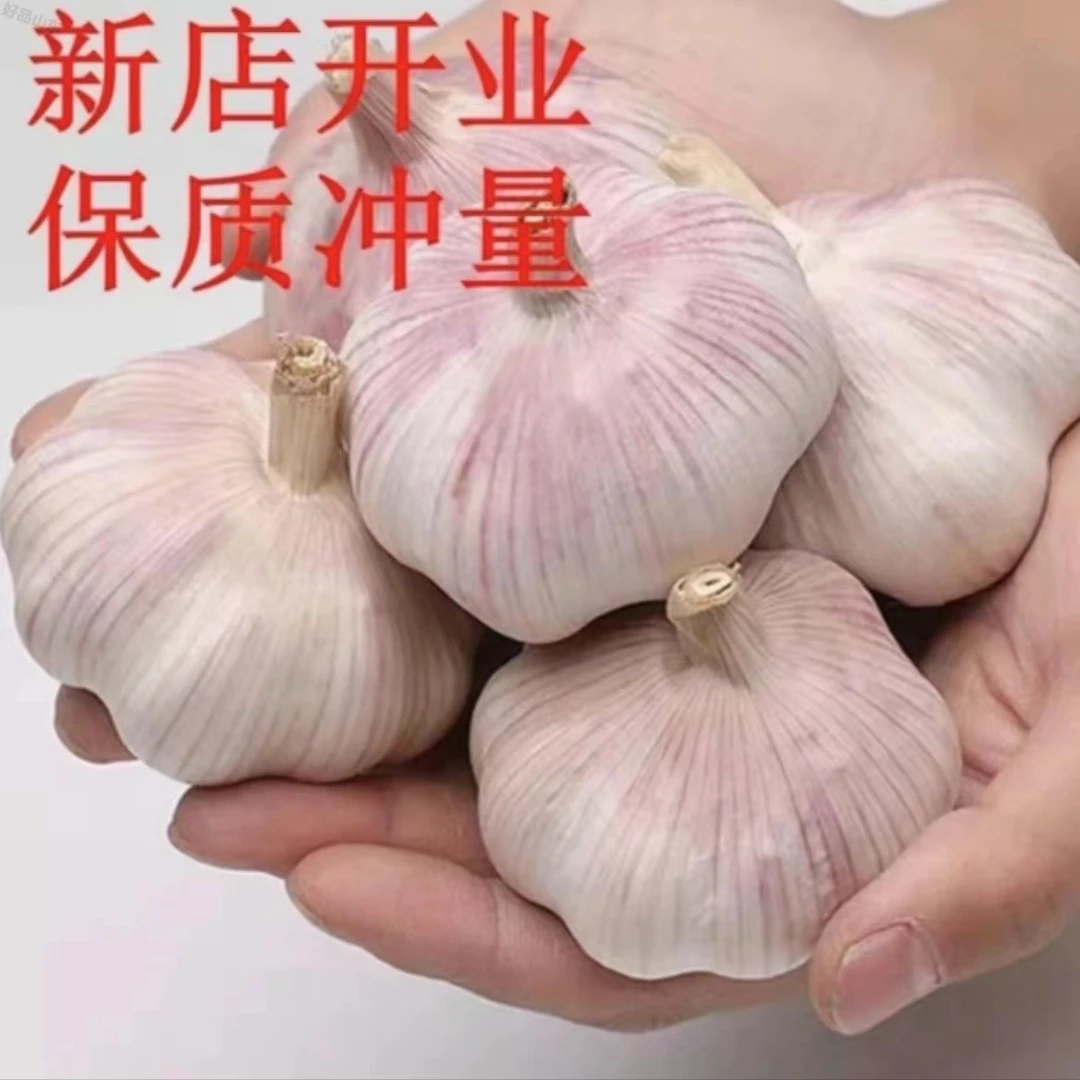 金乡大蒜新鲜干大蒜头2024当季蔬菜0.2斤起紫白皮大鲜嫩种植产品