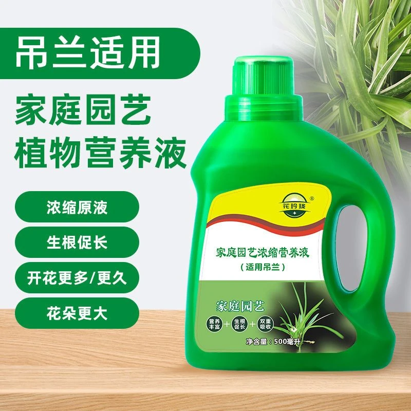 吊兰专用营养液防黄叶干尖枯萎爆芽促生长爆盆生根兰科通用有烂根
