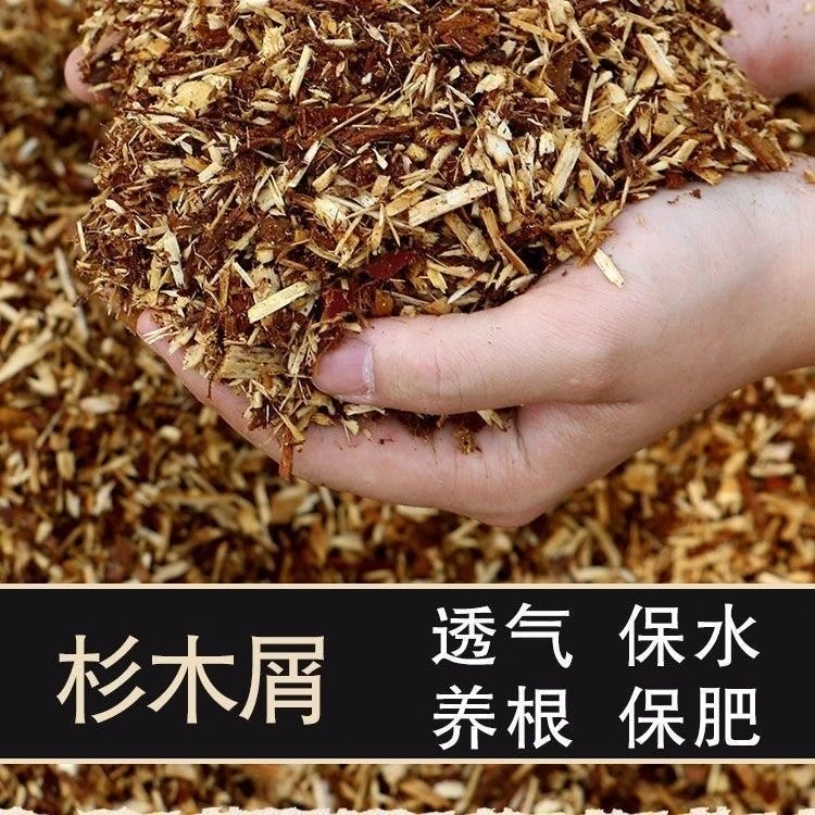 【新客立减10元】纯杉木屑兰花植料兰花土营养土适合促进生根养根长