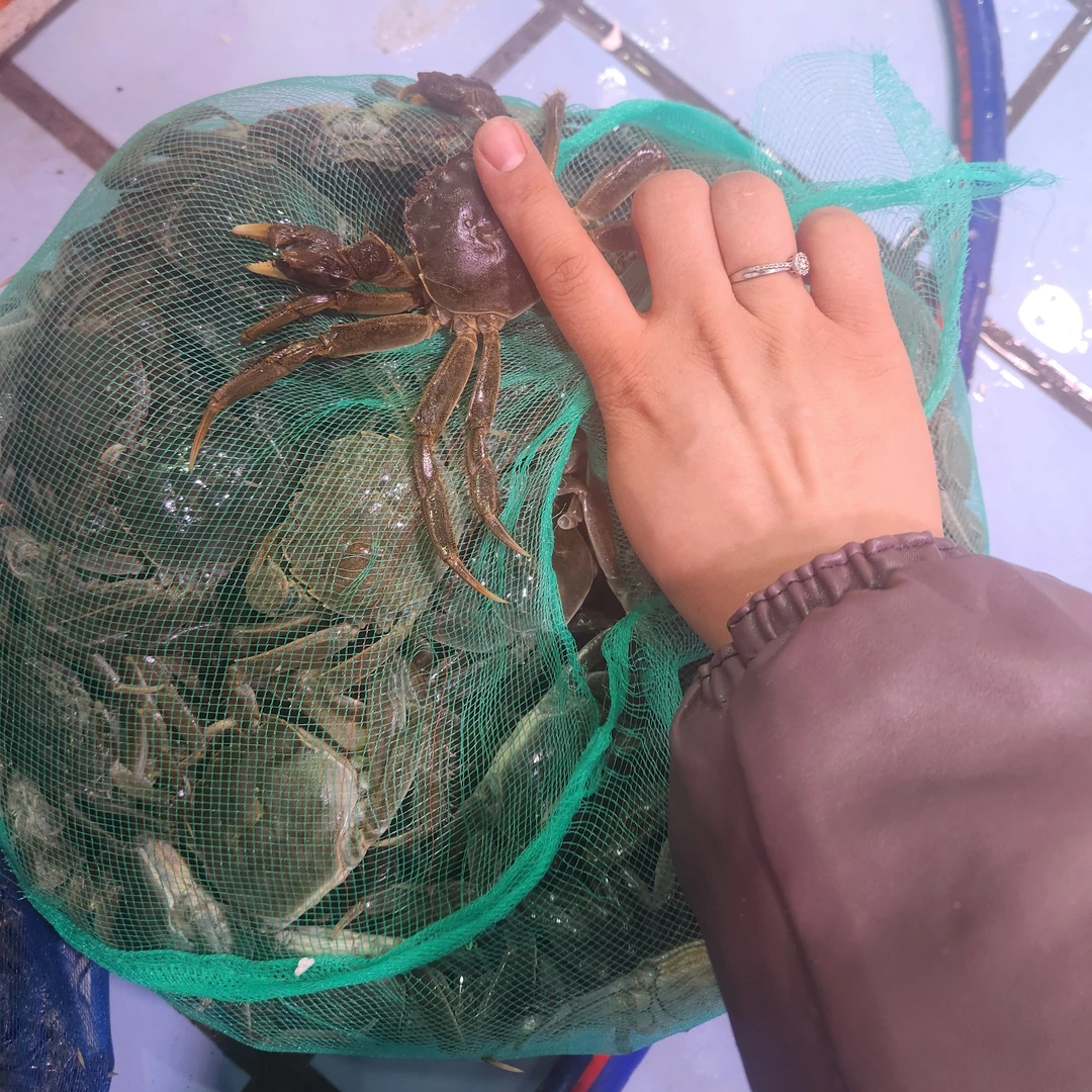 河蟹18只公母混包邮（只发长春）保鲜不包活个别少小腿(饱满)