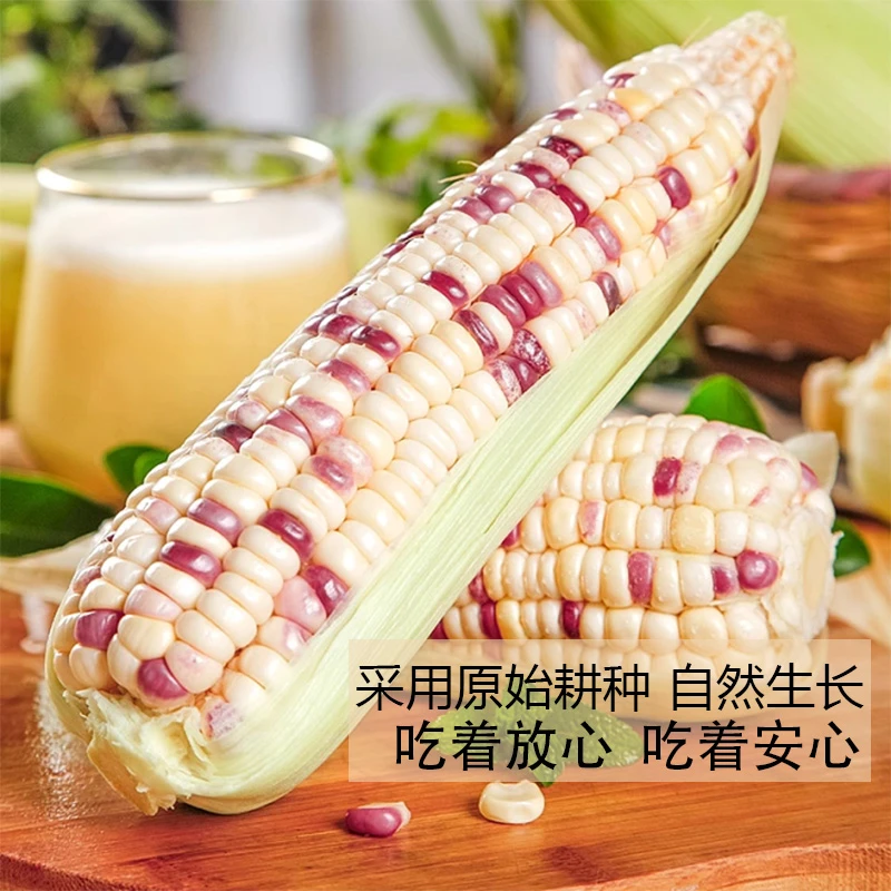【亏米冲粉福利】23年 东北玉米  （2黄糯玉米 1水果玉米 2黄花玉米）