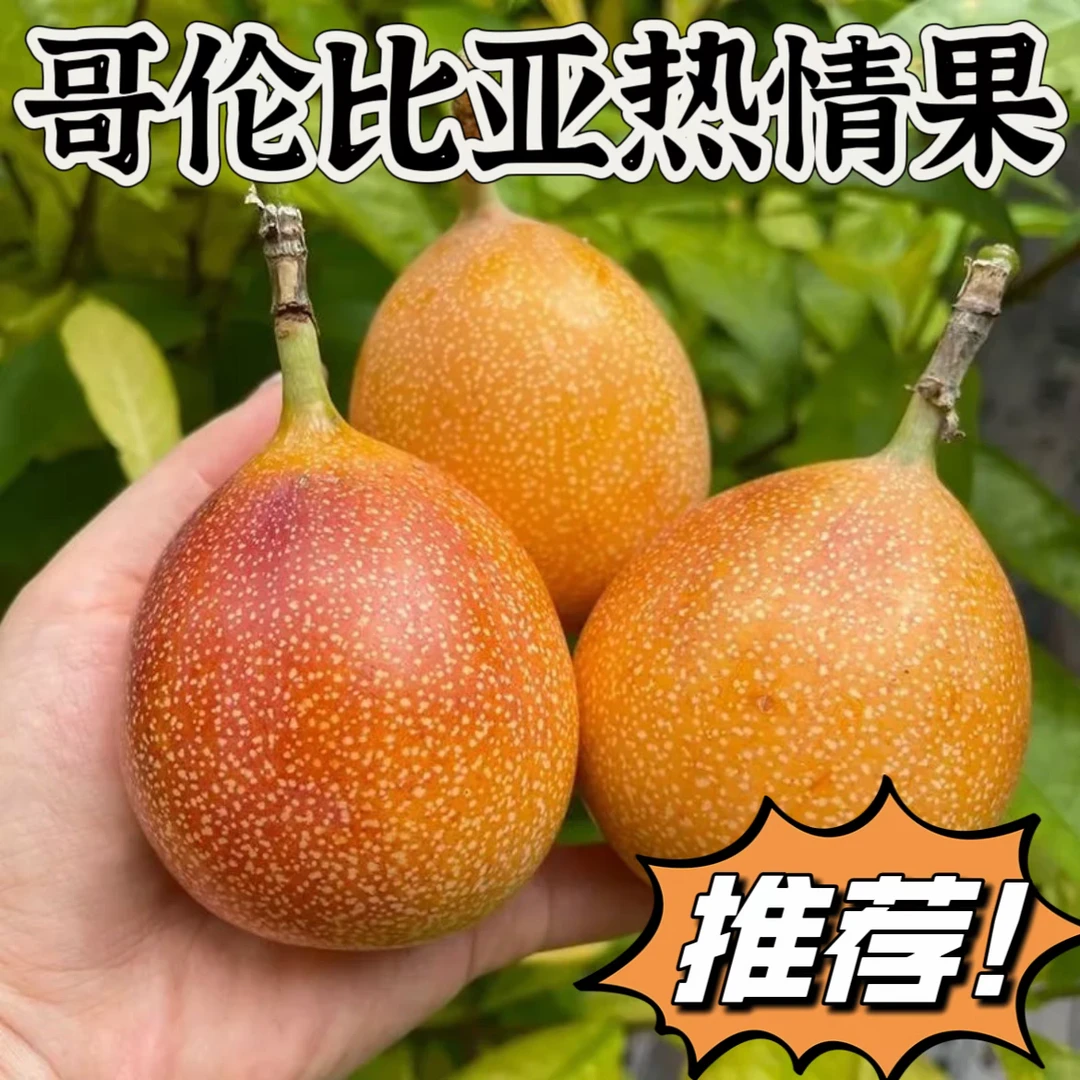 【热情果】西双版纳纯甜热带水果新鲜热情果燕窝果香甜百香果3斤5斤
