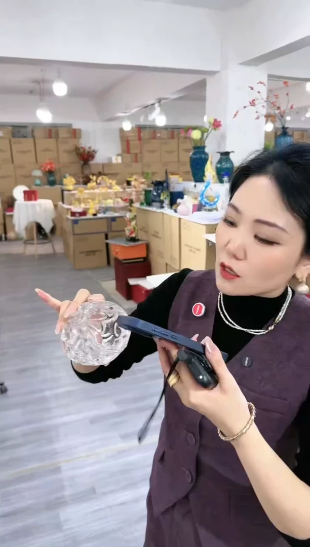 【闪购商品】瑞花瓶N-17晚