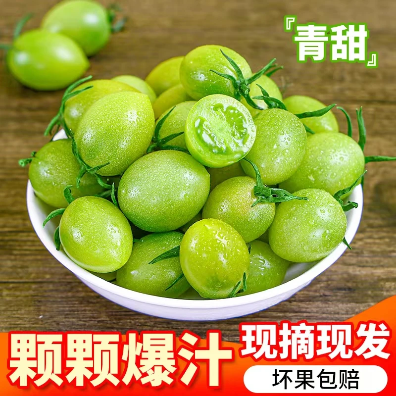 【顺丰快递】青甜2号特色绿色小番茄圣女果好吃爆汁可甜产地直发