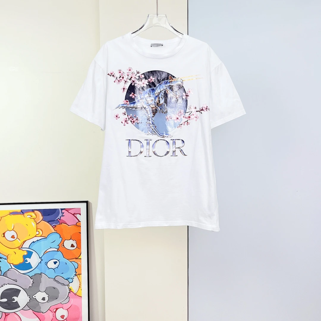 95新 DIOR/迪奥 短袖T恤 /m码/成色95/Xsp27337