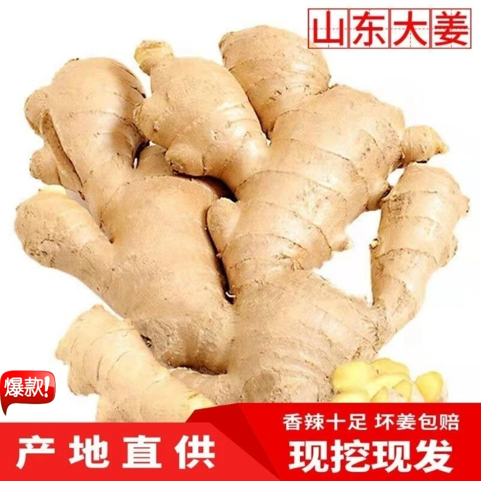 【坏果包赔】生姜小黄姜干净无土晾干大姜新鲜黄姜老生姜鲜嫩姜包邮