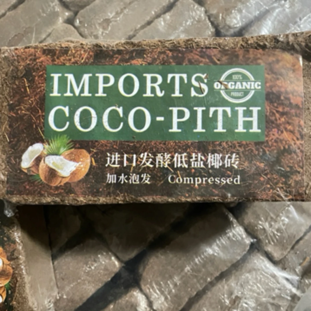 椰砖 进口发酵低盐椰砖