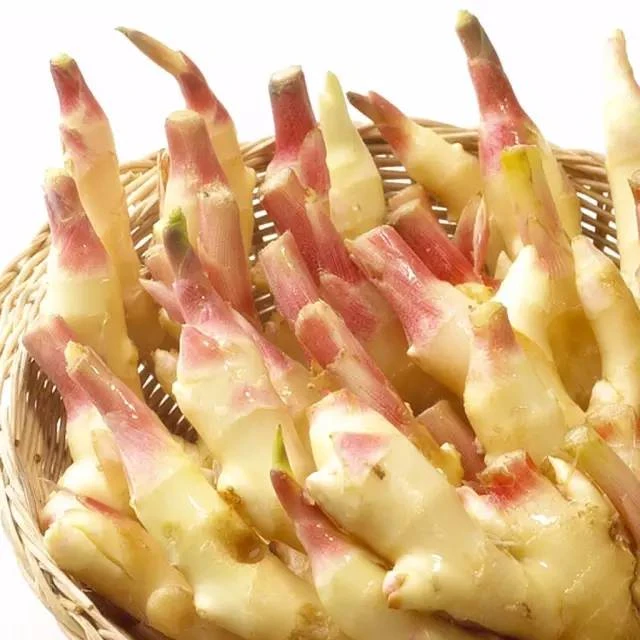 嫩生姜（仔姜）500g±50g份