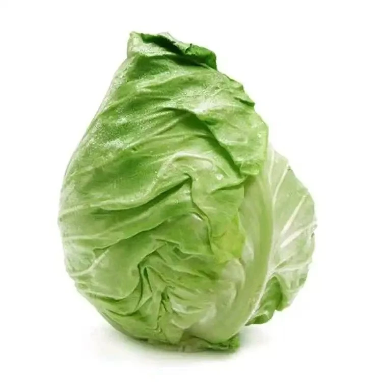 牛心白菜450g-550g/颗