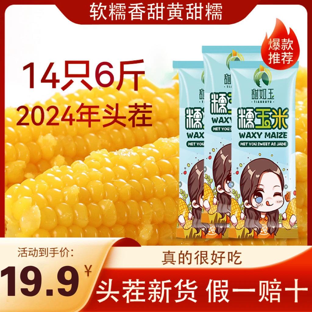 【14只净重6斤黄糯玉米】2024年 新糯玉米 家庭囤货装 黑龙江直发