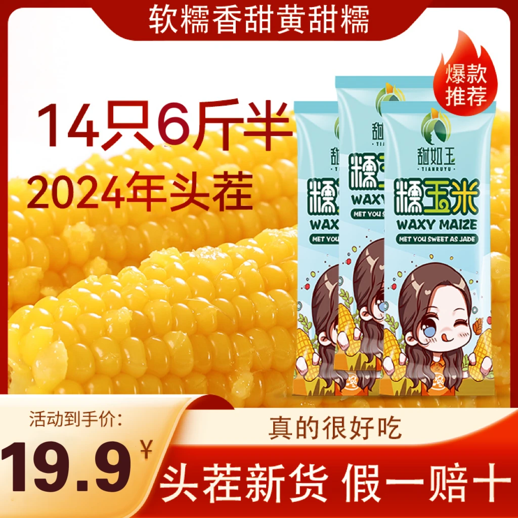 【14只净重6.5斤黄糯玉米】2024年 新糯玉米 家庭囤货装 黑龙江直发