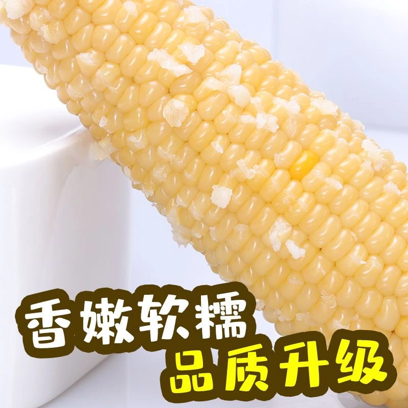 【14只净重6斤半】（3250克）正宗 东北白糯玉米甜糯软香低脂代餐早餐