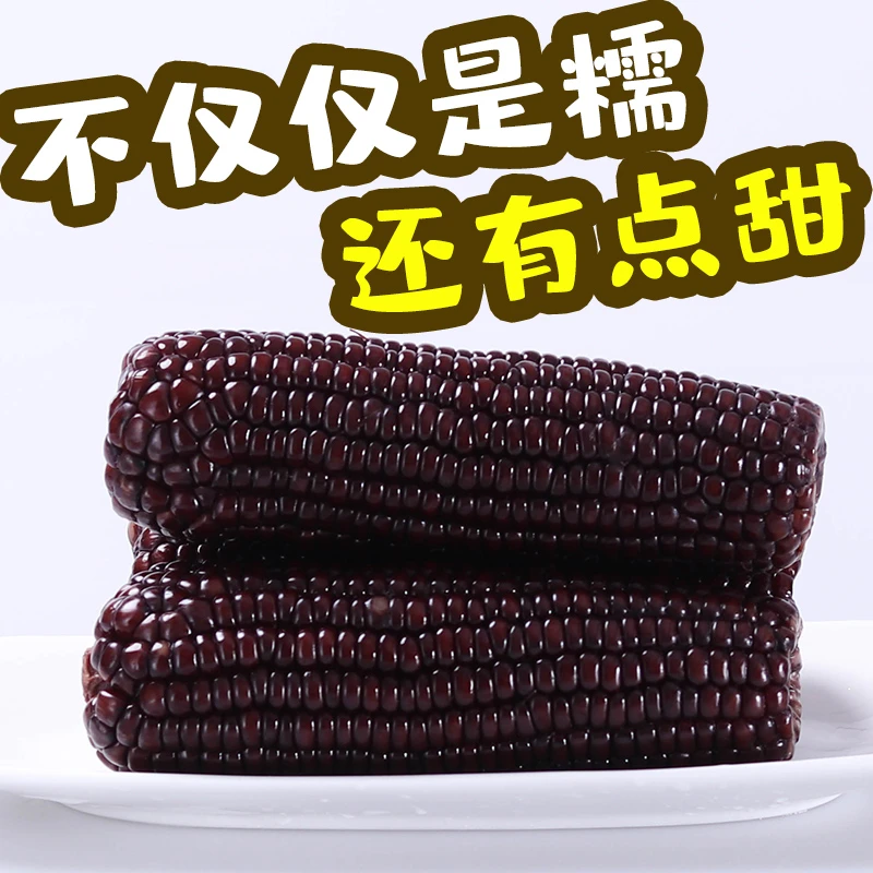 【12只净重5斤半（2750克）】甜糯黑玉米  正宗东北黑甜糯 非转基因