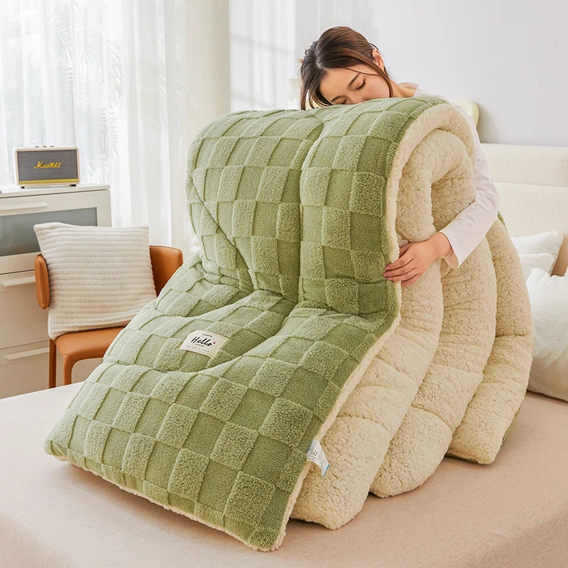 冬被加厚被子秋冬款磨毛保暖被芯牛奶绒加绒加厚被褥学生四季通用