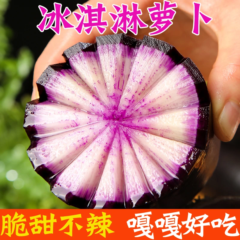 冰淇淋水果萝卜新鲜5斤冰糖心甜脆水果型山东网红罗卜生吃蔬菜
