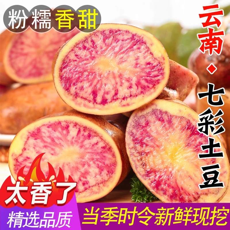 云南七彩土豆3/5/9斤现挖新鲜红皮红心小土豆当季蔬菜马铃薯洋芋