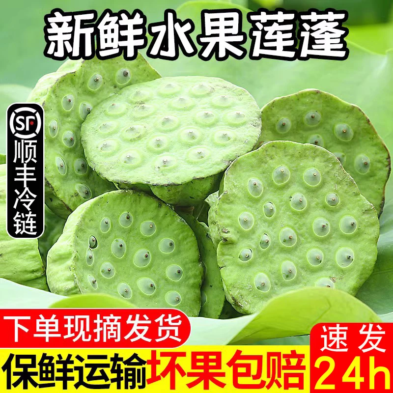2025新鲜莲蓬现摘生吃1/2/3斤新鲜水果当季湘莲超甜嫩莲子米顺丰