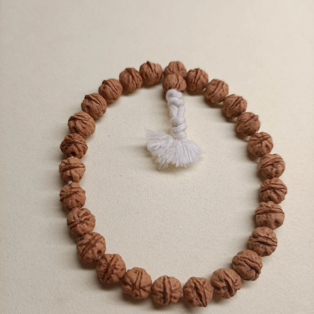 天然原桩偏圆籽大芽口柏香籽单圈百香籽