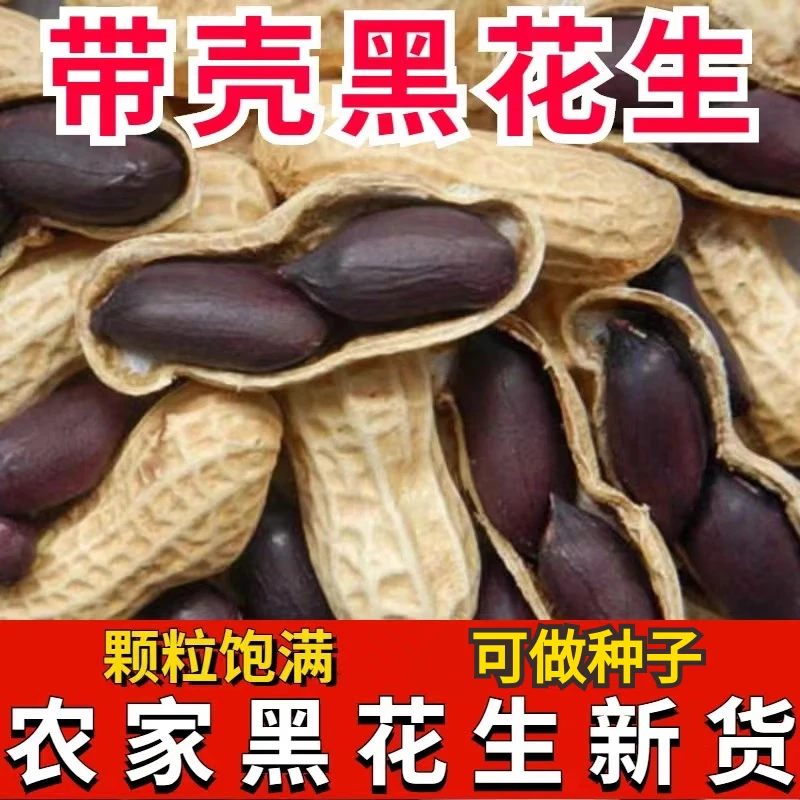 农家黑花生带壳安徽农家晒干黑皮花生米仁种籽子 【可做种子】250g