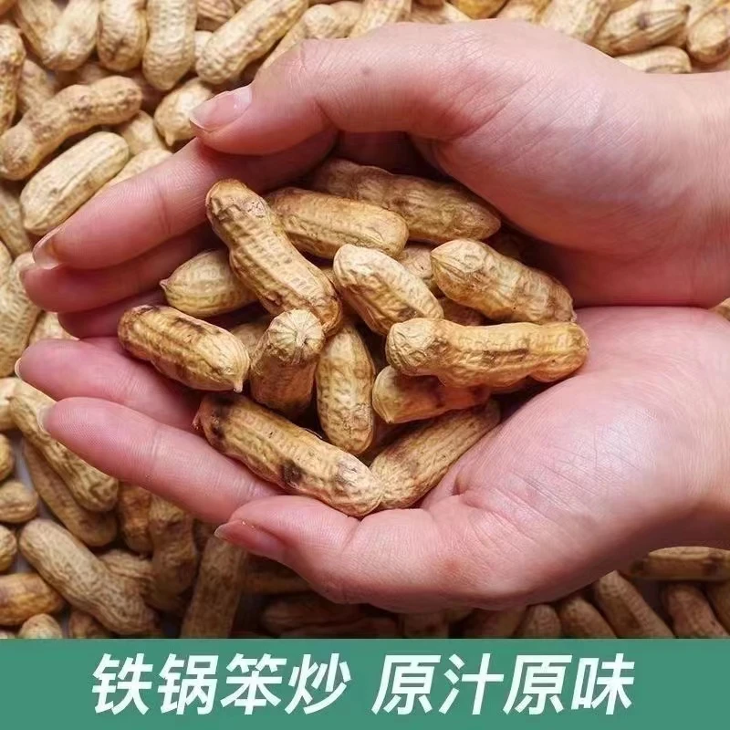 23年新货锅巴花生农家铁锅干炒原味带壳花生东北小珍珠花生年货