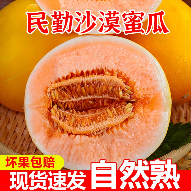 正宗甘肃民勤沙漠蜜甜瓜新鲜水果精选采摘香瓜当季发货直供密瓜