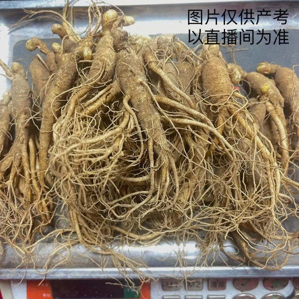 长白山新鲜人参,一斤装(煲汤煮水)