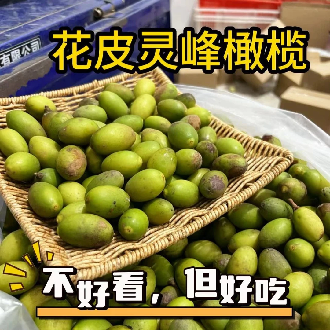 潮汕金灶本地花皮灵峰橄榄 新鲜采摘 酥甘橄榄一斤装