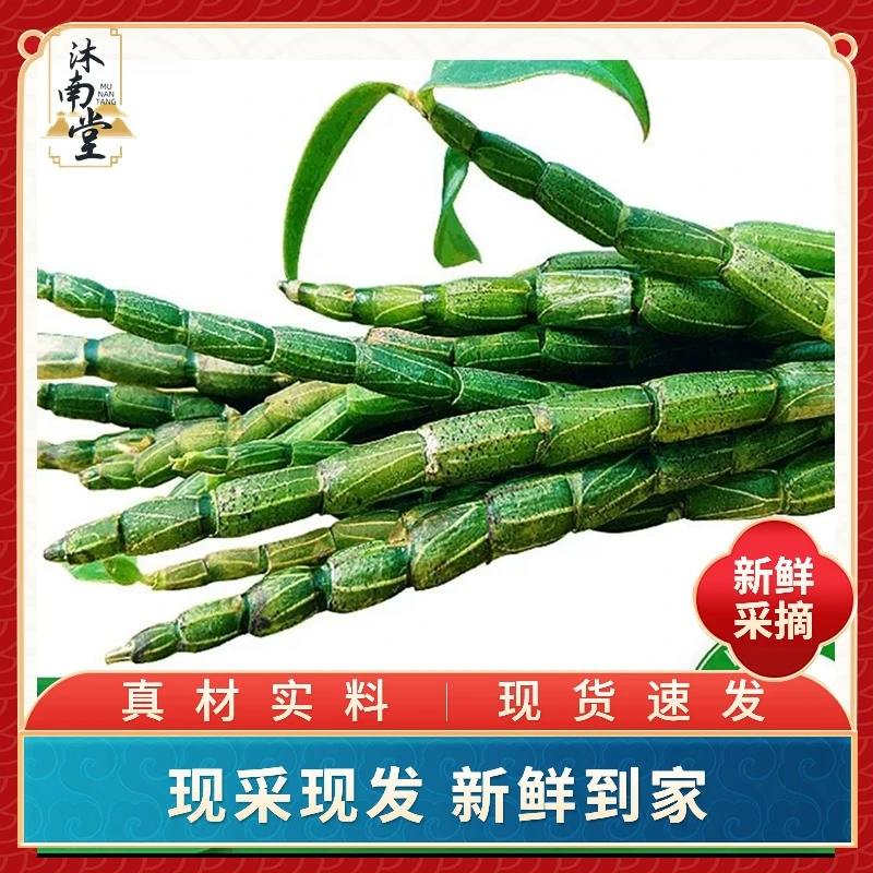 沐南堂新鲜石斛嫩芽现拍现采500g滋补养生