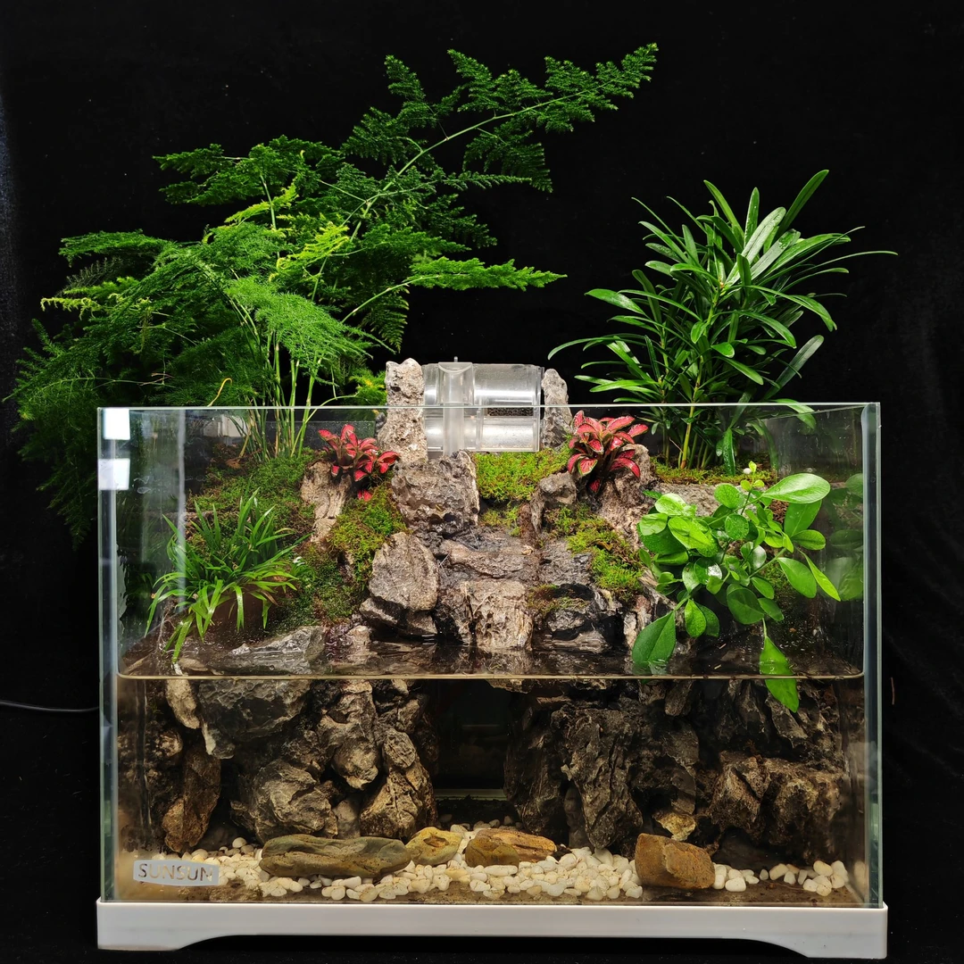 【鹏镁】天门山~桌面微景观苔藓造景缸办公室生态缸带壁挂式过滤