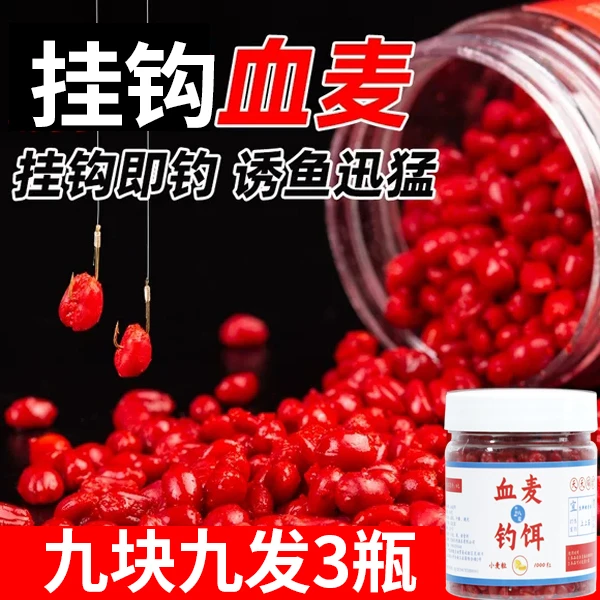 【血麦】钓鱼挂钩麦子打窝甜嫩麦粒饵料翘嘴鲤鱼鲫鱼大板鲫小麦颗粒