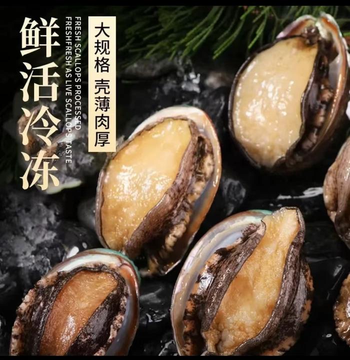 大号鲍鱼6-7cm共40只海鲜水产8-10头规格活鲍捕捞速冻口感鲜嫩