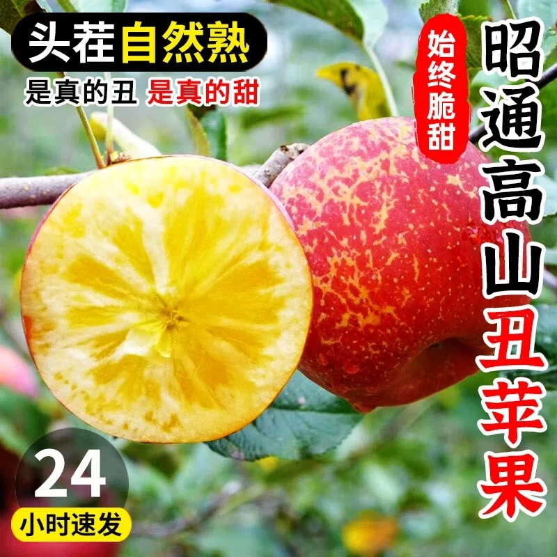 【9斤专拍】2024年新鲜昭通苹果水果冰糖心脆甜多汁红露丑苹果