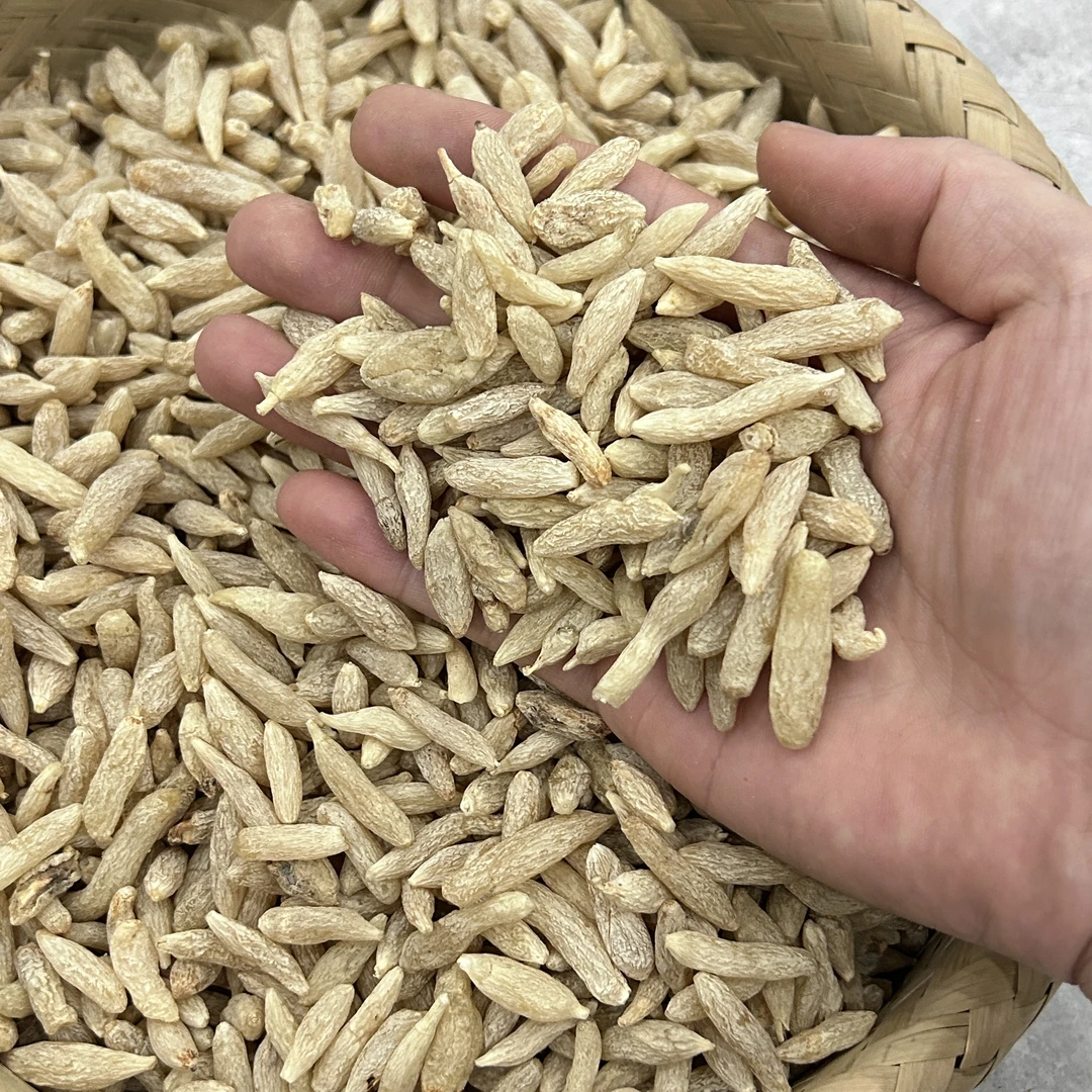 麦冬 正宗 无添加健康高品质 炖汤煲汤煮水 养生滋补品