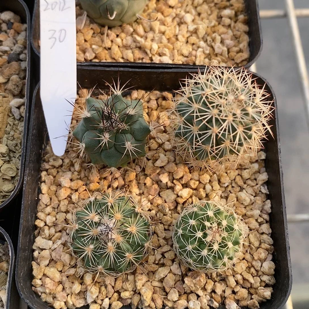 2**2可口可乐了看看啦啦啦