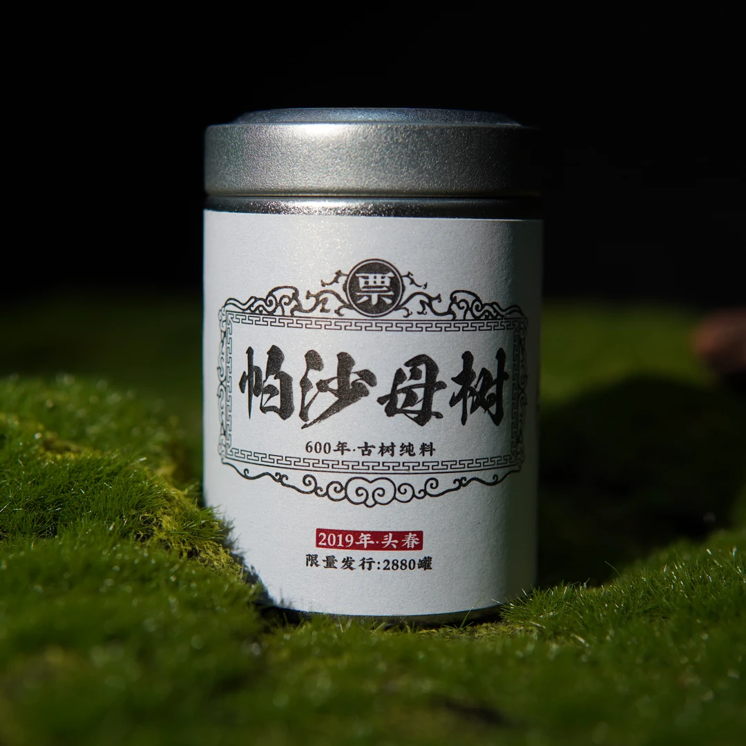 帕沙母树普洱茶精选优质原产地山野品质春茶冲泡醒茶透亮浓郁茶香