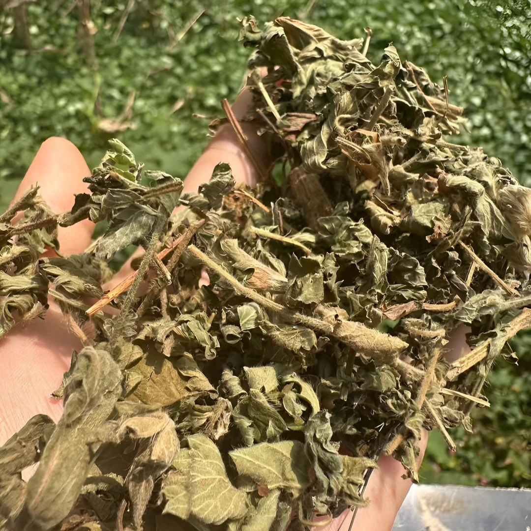 【寳货斋】贵州深山野生仙鹤草切断干货